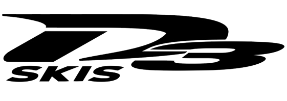 D3 Ski's Logo